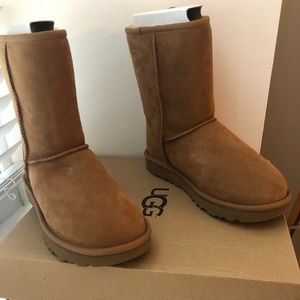 BRAND NEW, NEVER WORN - Women’s Ugg boots
